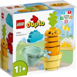 LEGO 10981 Rosnąca marchewka