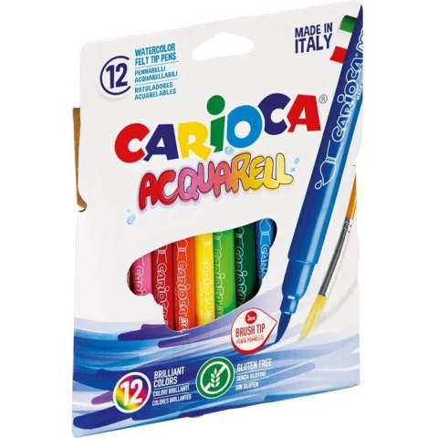 Flamastry AQUAREL 12 CARIOCA 41942 160-1461