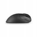 Trackball KENSINGTON Pro Fit Ergo TB450 optyczny bezprzewodowy K72194WW