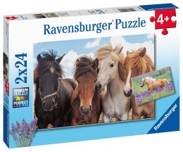 Ravensburger Puzzle dla dzieci 2D: Konie 2x24 elementy 5148