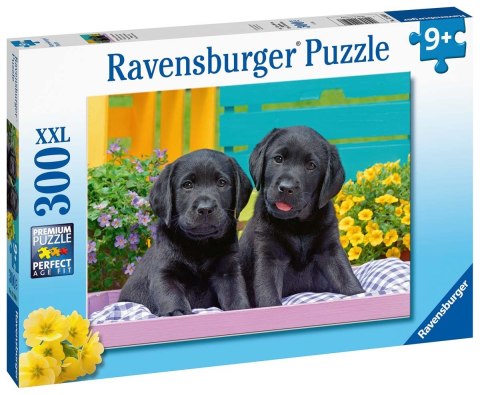 Ravensburger Puzzle dla dzieci 2D: Pupile 300 elementów 12950