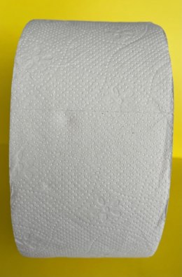 Papier toaletowy JUMBO 120m(12szt) biały 20x9,1cm 65% białości 2 warstwy 270065 PUFFO