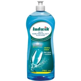 Płyn nabłyszczacz do zmywarek 750ml 24713 LUDWIK