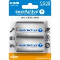 Akumulatorek Ni-MH EVERACTIVE Silver Line D/HR20 5000mAh blister (2szt)