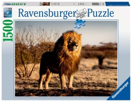 Ravensburger Puzzle 2D 1500 elementów: Lew 17107