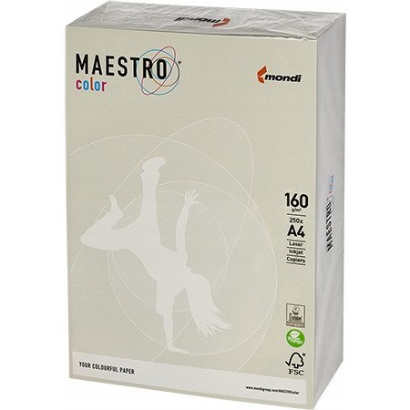 Papier ksero A4 160g MAESTRO COLOR GR21 szary 250a