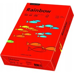 Papier ksero A4 160g RAINBOW R28 ciemnoczerwony 88042483