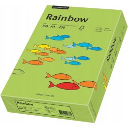 Papier ksero A4 160g RAINBOW R76 zielony 88042659