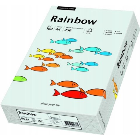 Papier ksero A4 160g RAINBOW R93 jasno szary 250ark 88042791