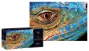 Puzzle 250 Colourful Nature 5 Lizard PUZ250CN5L INTERDRUK